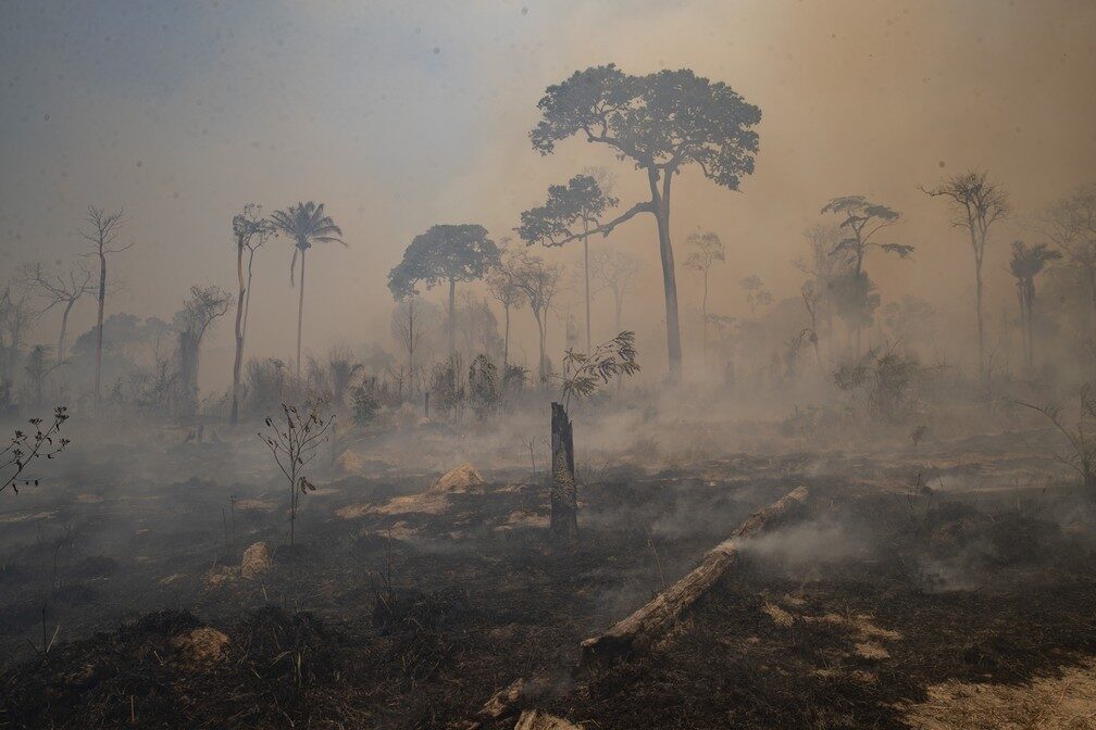 Mudanças climáticas: as preocupantes previsões para a América do Sul no IPCC